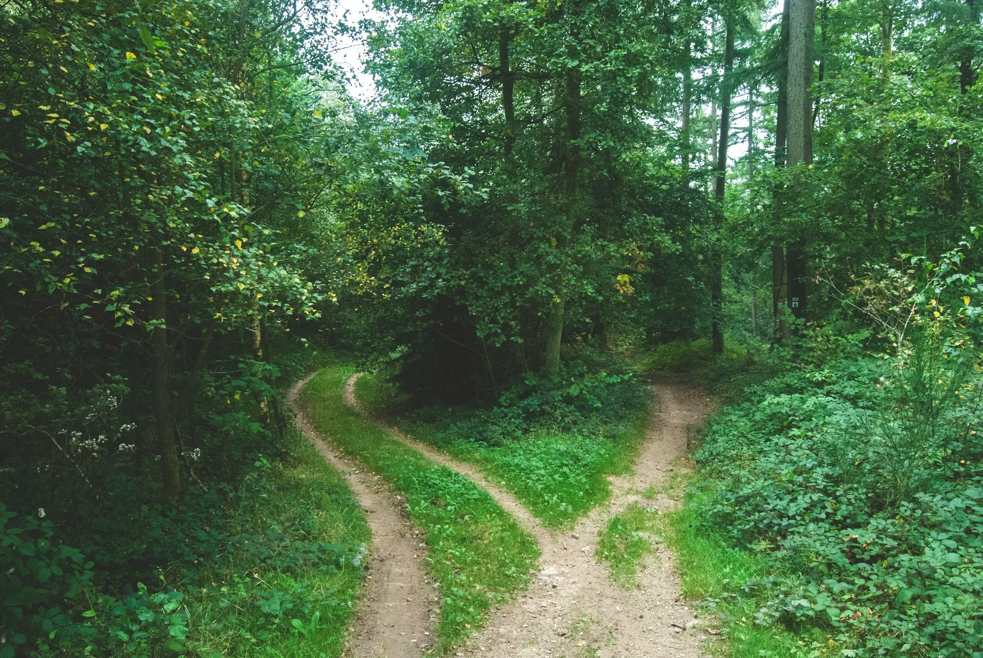 So many paths